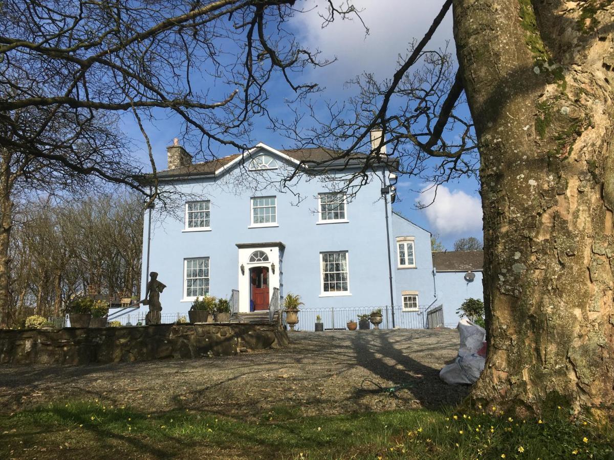 Crug Glas Country House Saint David's Exterior foto