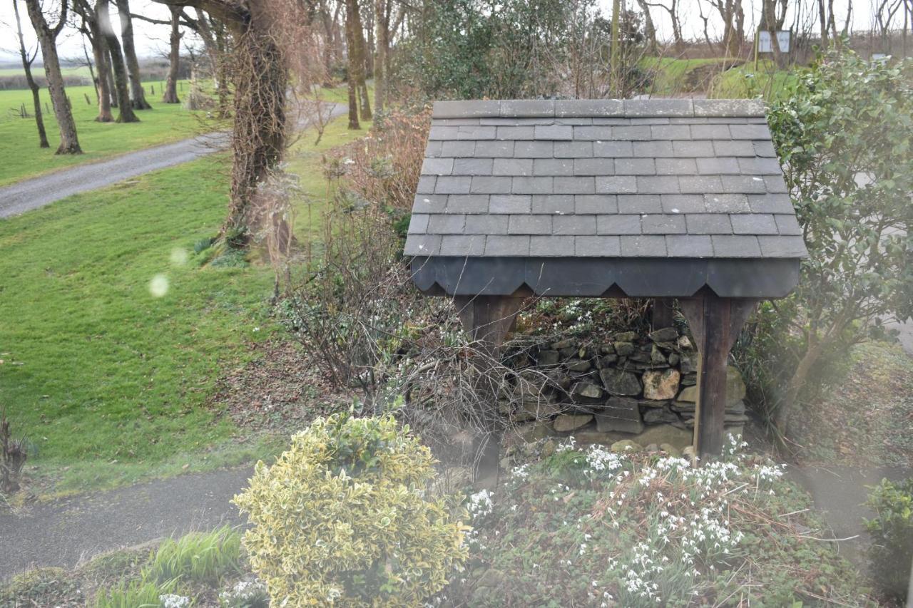 Crug Glas Country House Saint David's Exterior foto