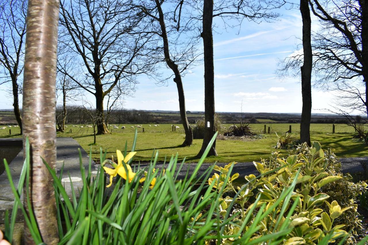 Crug Glas Country House Saint David's Exterior foto